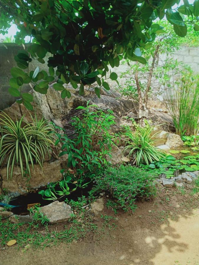 Sidhangana Home Stay Anuradhapura Zewnętrze zdjęcie