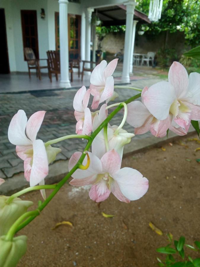 Sidhangana Home Stay Anuradhapura Zewnętrze zdjęcie