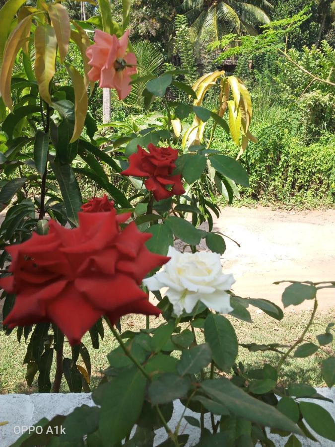 Sidhangana Home Stay Anuradhapura Zewnętrze zdjęcie