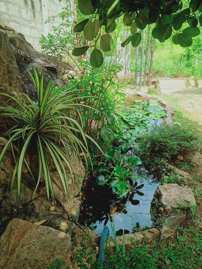 Sidhangana Home Stay Anuradhapura Zewnętrze zdjęcie