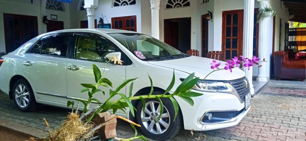 Sidhangana Home Stay Anuradhapura Zewnętrze zdjęcie
