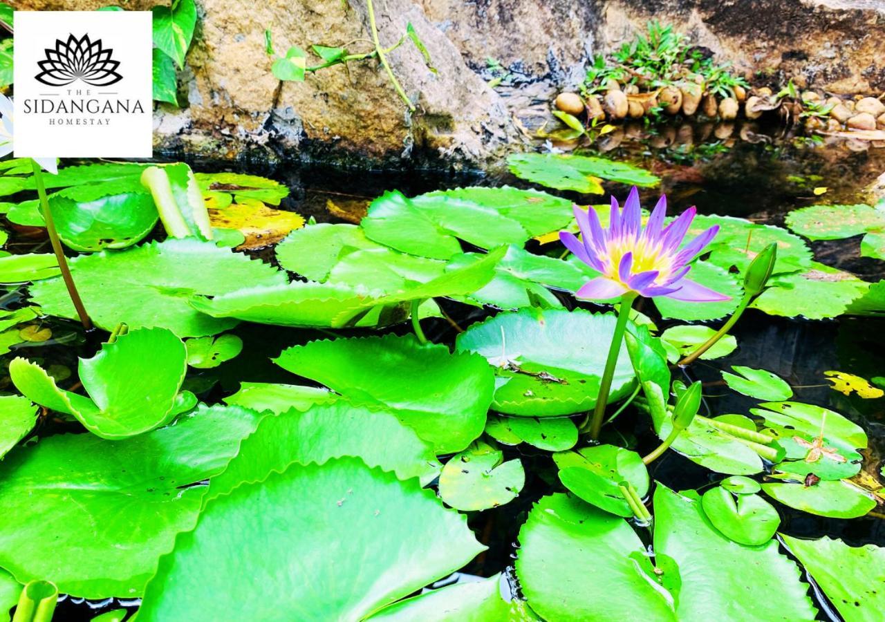 Sidhangana Home Stay Anuradhapura Zewnętrze zdjęcie