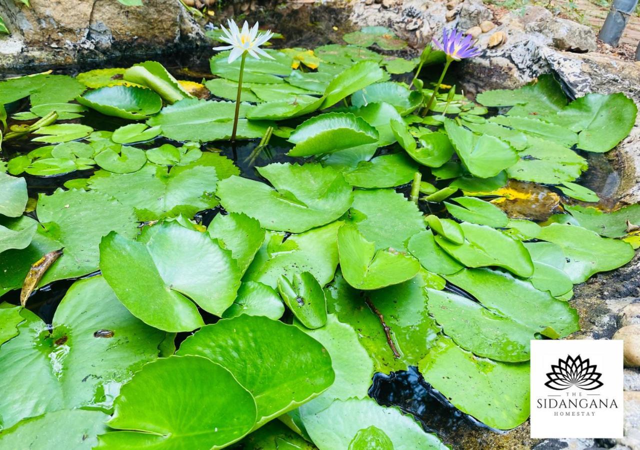 Sidhangana Home Stay Anuradhapura Zewnętrze zdjęcie