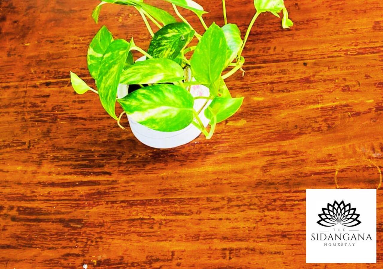 Sidhangana Home Stay Anuradhapura Zewnętrze zdjęcie